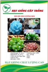 Hạt giống sen đá kim cương mix màu