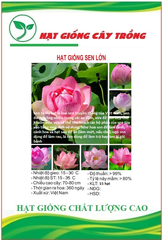 Hạt giống hoa sen lớn ( sen ta ) mix màu