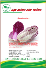 Hạt giống rau cải thảo tím Nhật Bản