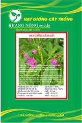 Hạt Giống Sâm Đất Thổ Sâm