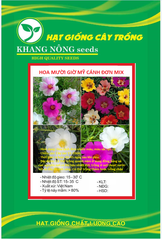 Hạt Giống Hoa Mười Giờ Mỹ Cánh Đơn