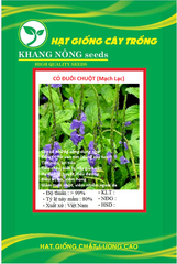 Hạt Giống Cây Đuôi Chuột (Mạch Lạc)