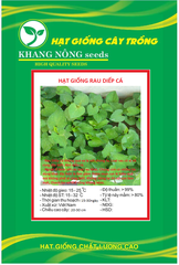 Hạt giống rau diếp cá - gói 50 hạt