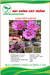 Hạt giống hoa xương rồng gấm mix màu