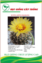 Hạt giống hoa xương rồng hamato