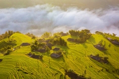Tour Hà Giang 3 ngày 2 đêm | Hoàng Su Phì - Chiêu Lầu Thi | Leo Núi Săn Mây Và Ngắm Lúa Chín