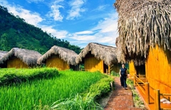 Tour Hà Giang 3 ngày 2 đêm | Hoàng Su Phì - Chiêu Lầu Thi | Leo Núi Săn Mây Và Ngắm Lúa Chín