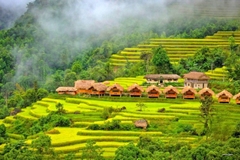 Tour Hà Giang 3 ngày 2 đêm | Hoàng Su Phì - Chiêu Lầu Thi | Leo Núi Săn Mây Và Ngắm Lúa Chín