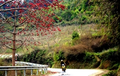 Tour Ghép Hà Giang Chợ tình Khâu Vai | 3 Ngày 4 Đêm