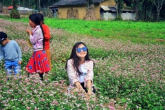 Tour Xe Máy Hà Giang | 3 Ngày 4 Đêm