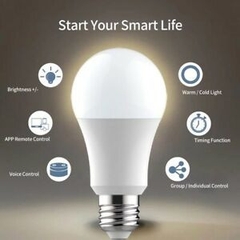 Bóng đèn LED BULB tròn 12W ánh sáng trắng.