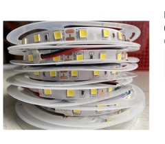 Led dây 5054, 60 bóng/m, 5 mét/ cuộn 12V không keo