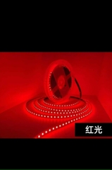 Led dây dán 2835 120b/m cuộn 5m ánh sáng đỏ.