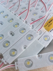 LED 2 mắt led COB SHX Dây 20 Thanh