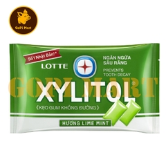 Kẹo gum không đường Xylitol hương Lime Mint 11,6g