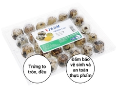 Hộp 30 trứng cút tươi V.Farm