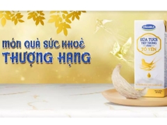 Lốc 4 hộp sữa tươi tiệt trùng chứa tổ yến Vinamilk 180ml