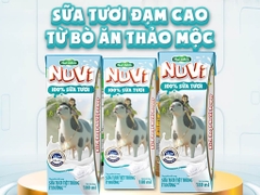 Thùng 48 hộp sữa tươi tiệt trùng Nuvi ít đường 180ml