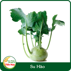 Su Hào Bắc