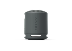 Loa Bluetooth Sony SRS-XB100 Extra Bass