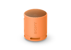 Loa Bluetooth Sony SRS-XB100 Extra Bass