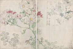 柴田是真の植物図 (改訂版)