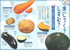 なぜ？どうして？科学のお話 ６年生
