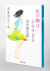 私の胸は小さすぎる