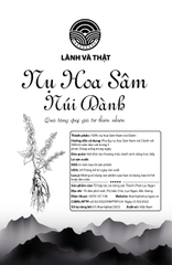 Nụ hoa sâm núi Dành