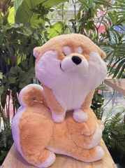 Gấu bông Shiba mừng rỡ