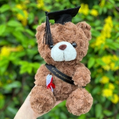 Gấu Teddy Lucky tốt nghiệp
