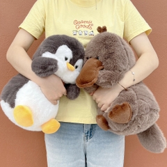 Hội thú Chubby bụ bẫm 40cm