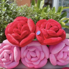 Hoa hồng bông Rosy