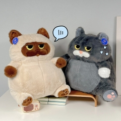 Mèo Miu Chan béo bụng bự