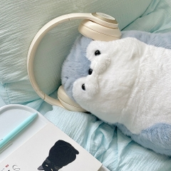 Hải cẩu bụng béo Habi