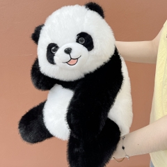 Hội gấu trúc Jooki