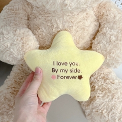 Gấu bông Teddy ôm sao 55cm
