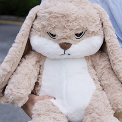 Gấu bông Thỏ bunny mặt quạo