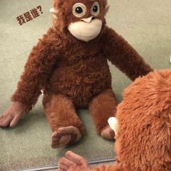 Gấu bông khỉ Punch 50cm