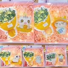 Set Quà Decor Nhỏ Xinh