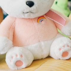 Gấu Teddy đeo nơ Rainbow