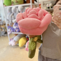 Hoa hồng bông Rosy