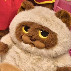 Mèo Miu Chan béo bụng bự