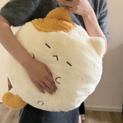 Mèo tựa lưng Sami Cat