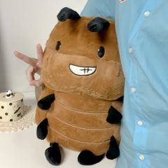 Gián cường tráng