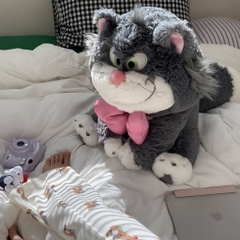 Mèo Lucifer nơ hồng