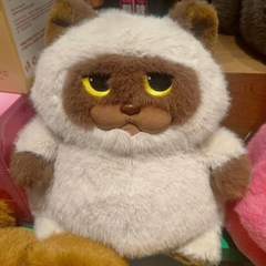 Mèo Miu Chan béo bụng bự