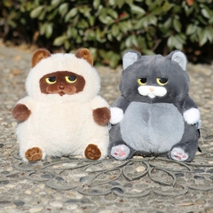 Mèo Miu Chan bụng bự