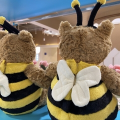 Gấu teddy ong nâu đậm 45cm
