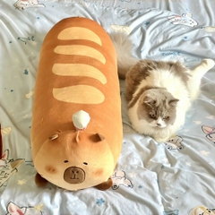 Gối ôm bánh mỳ Capybara 90cm